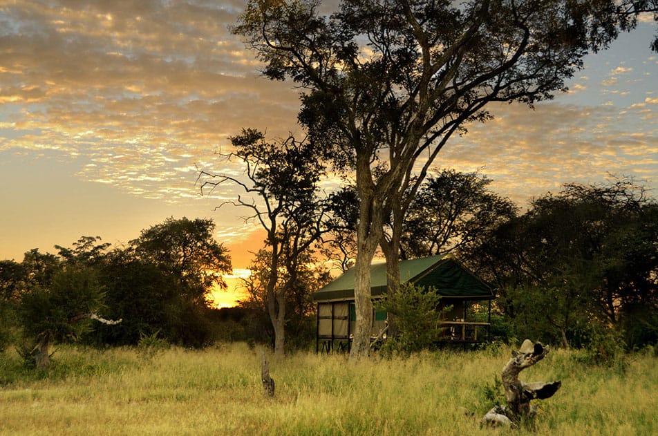 Ventileren ginder Tact Bomani Tented Lodge, Hwange National Park, Zimbabwe - 2022 / 2023