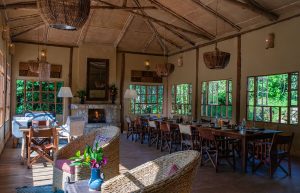 Bwindi Lodge Dining