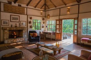 Bwindi Lodge Library