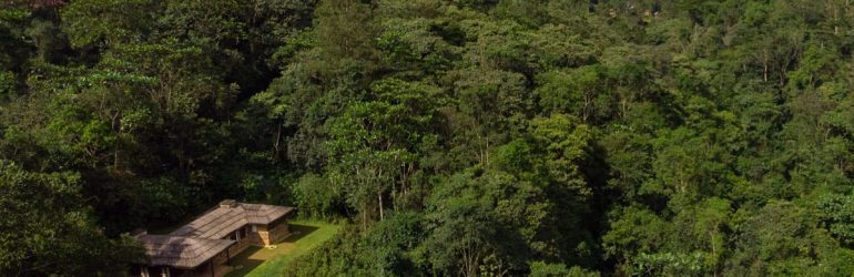 Bwindi Lodge View