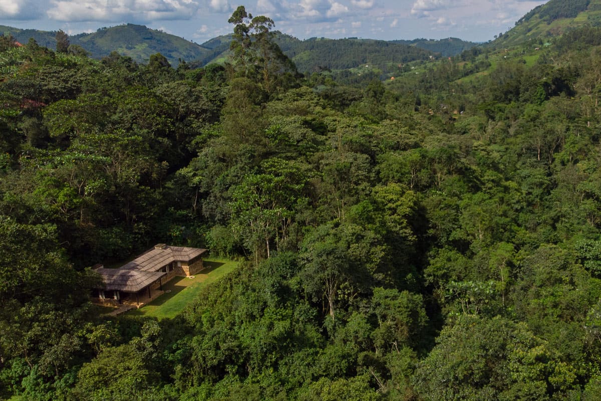Bwindi Lodge View