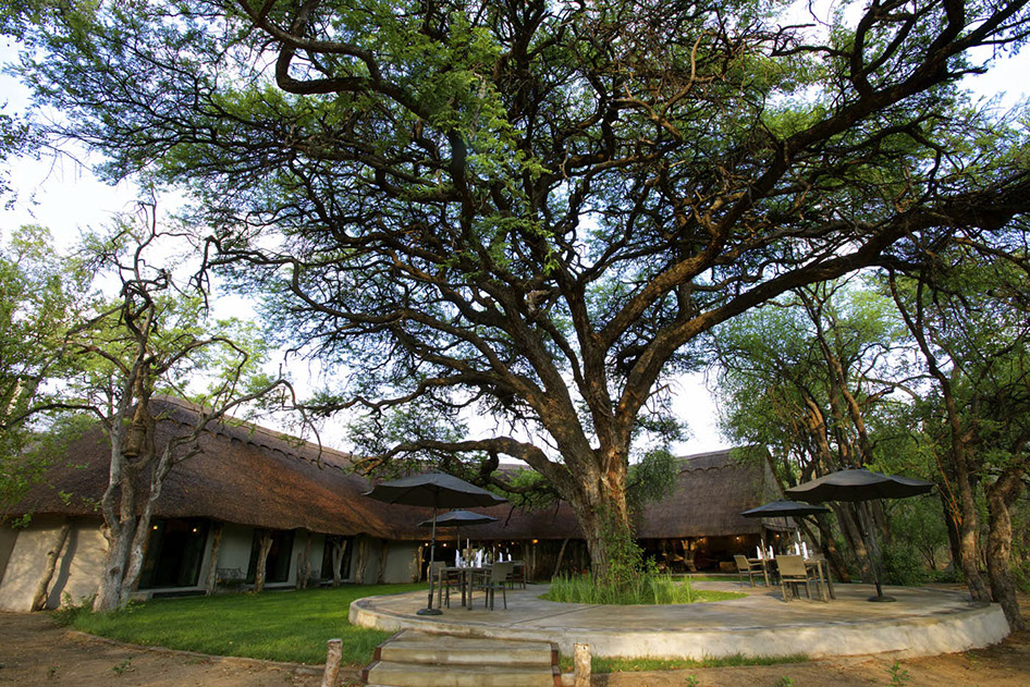 Camelthorn Lodge Main Lodge