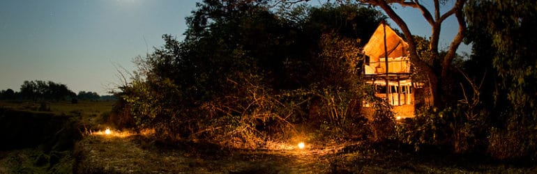 Chikoko Trails View At Night