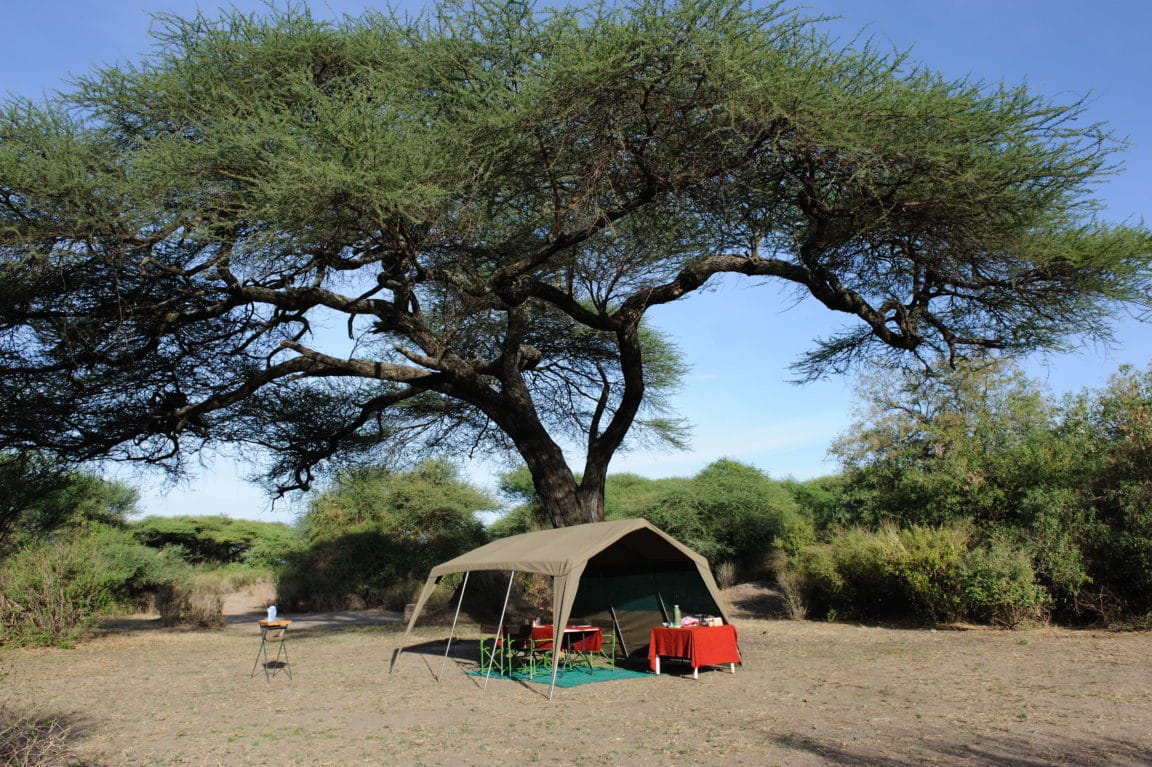 Explorer Camp Site