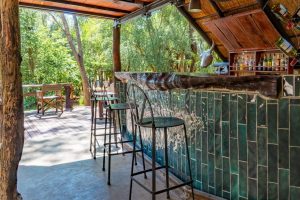 Ivory Lodge Bar