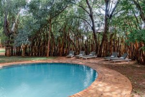 Ivory Lodge Pool