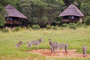 Ivory Lodge Tent