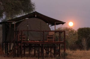 Jozibanini Camp Tent