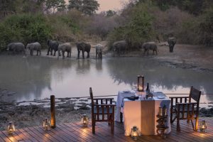 Kanga Expeditions Elephants By The Camp
