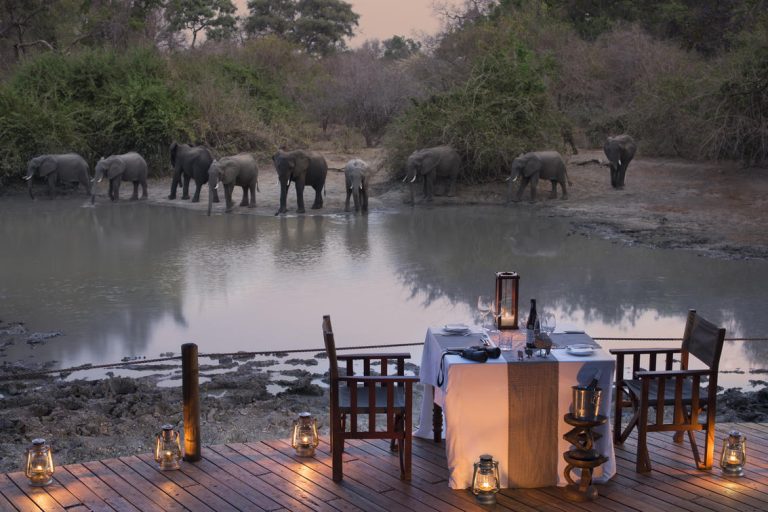 Kanga Expeditions Elephants By The Camp
