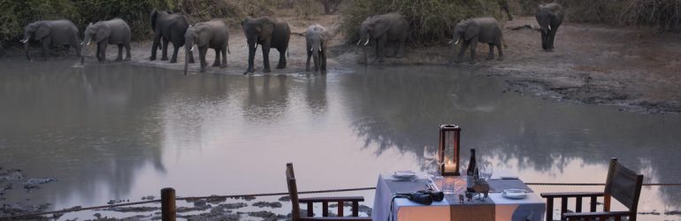 Kanga Expeditions Elephants By The Camp