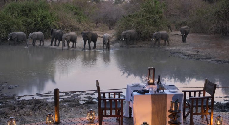 Kanga Expeditions Elephants By The Camp