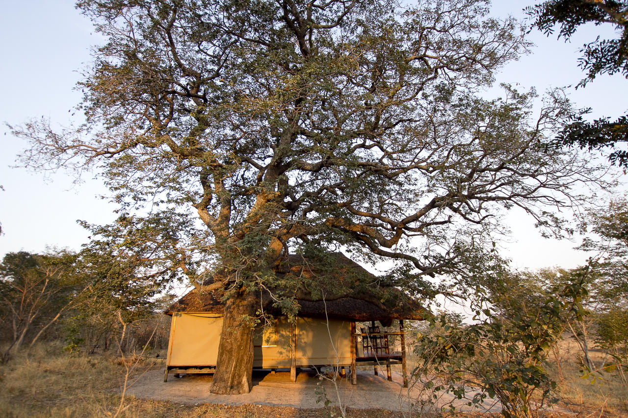 Khulu Bush Camp View