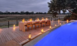 Lion Camp Poolside