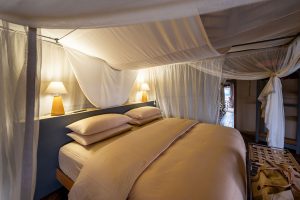 Lion Camp Suites
