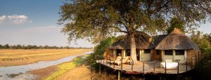 Lion Camp View