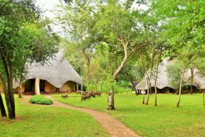 Lokuthula Lodges Gardens