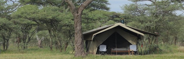 Ndutu Wilderness Camp