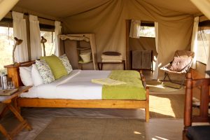 Ndutu Wilderness Camp Double Tent