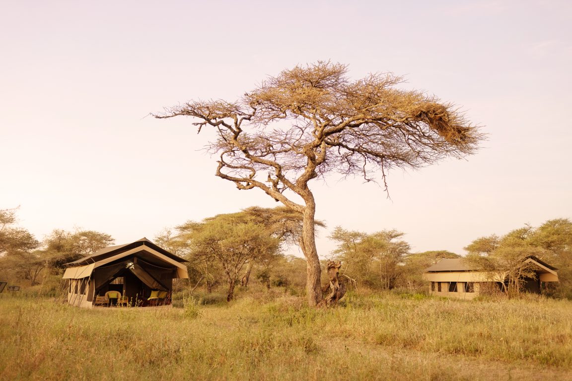 Ndutu Wilderness Camp Exterior 1