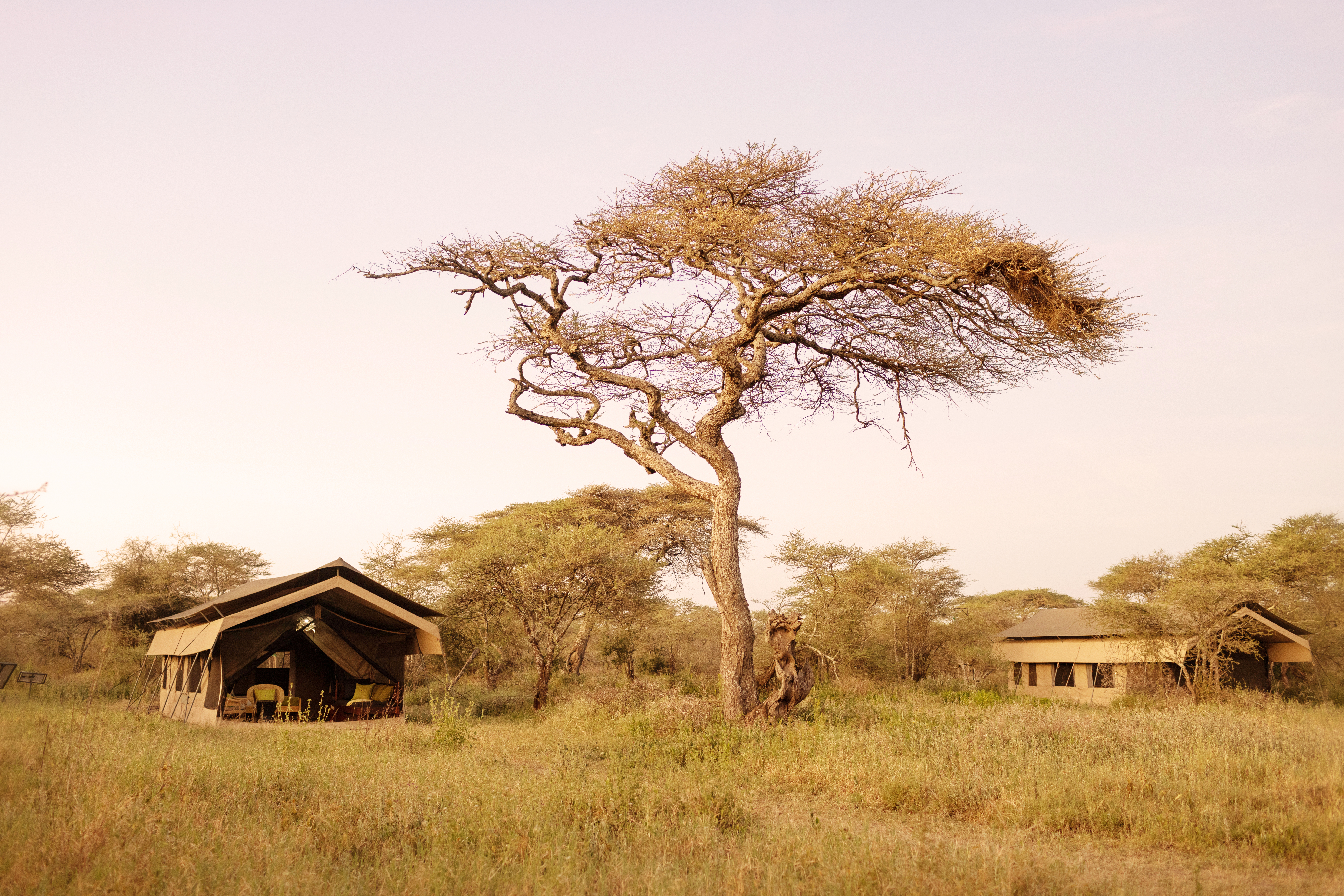 Ndutu Wilderness Camp, Serengeti National Park, Tanzania