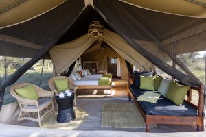Ndutu Wilderness Camp Twin Tent 1