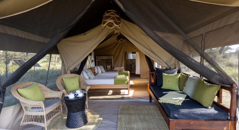 Ndutu Wilderness Camp Twin Tent 1
