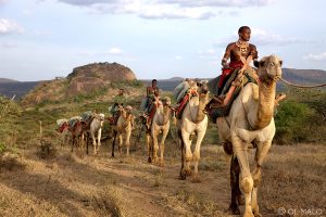 Ol Malo Nomad Camel Ride