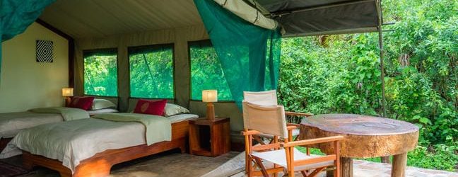 Ruzizi Tented Camp Tent View