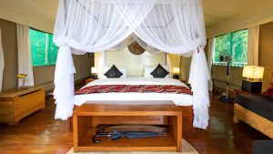 Ruzizi Tented Lodge Rooms