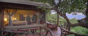 Sarara Tree Tent
