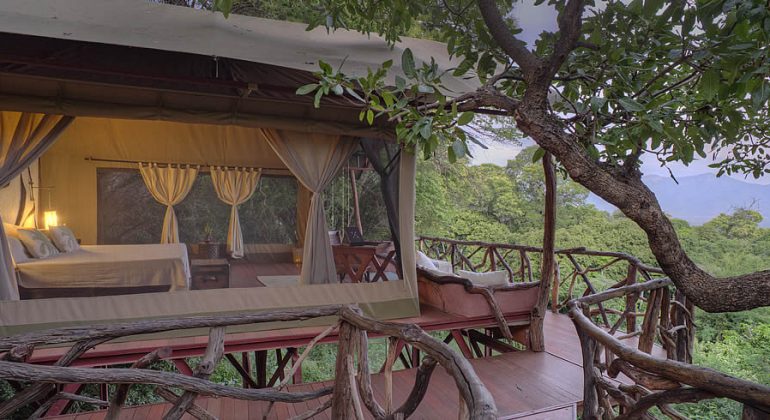 Sarara Tree Tent