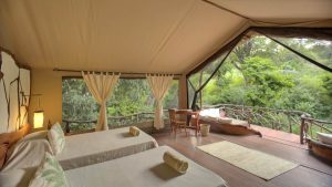 Sarara Tree Tent Bed