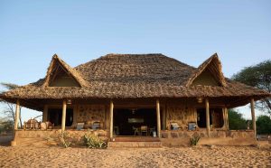 Saruni Rhino Main Area
