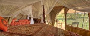 Saruni Wild View From Bedroom