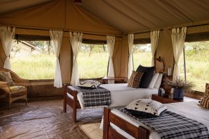 Serengeti Wilderness Camp Twin Tent