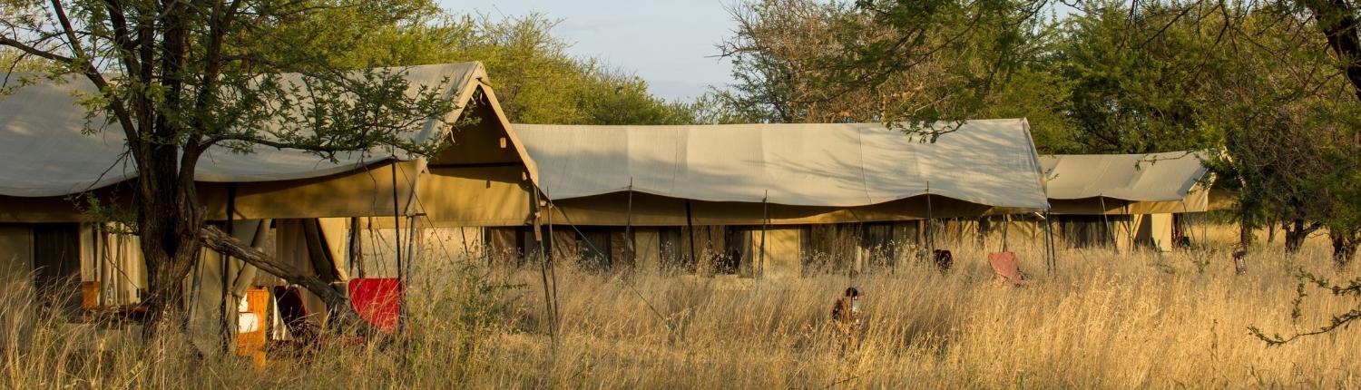 PEMBEZONI CAMP (SEASONAL CAMP) - Campground Reviews (Serengeti National  Park, Tanzania)