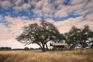Somalisa Expeditions Tent View