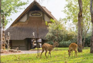 Victoria Falls Safari Club Front View