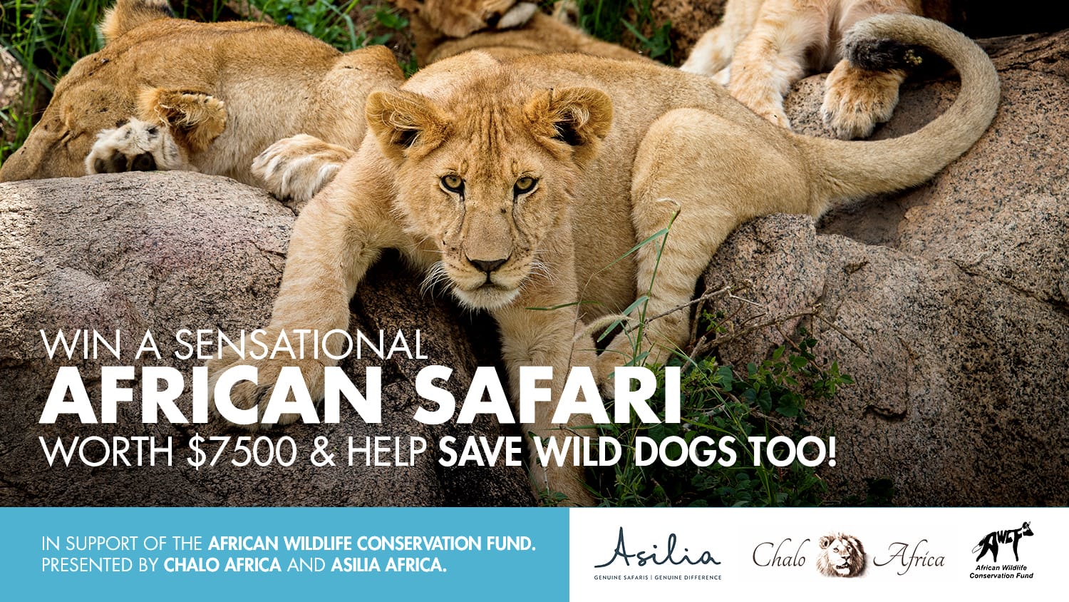 safari online raffle coupons today