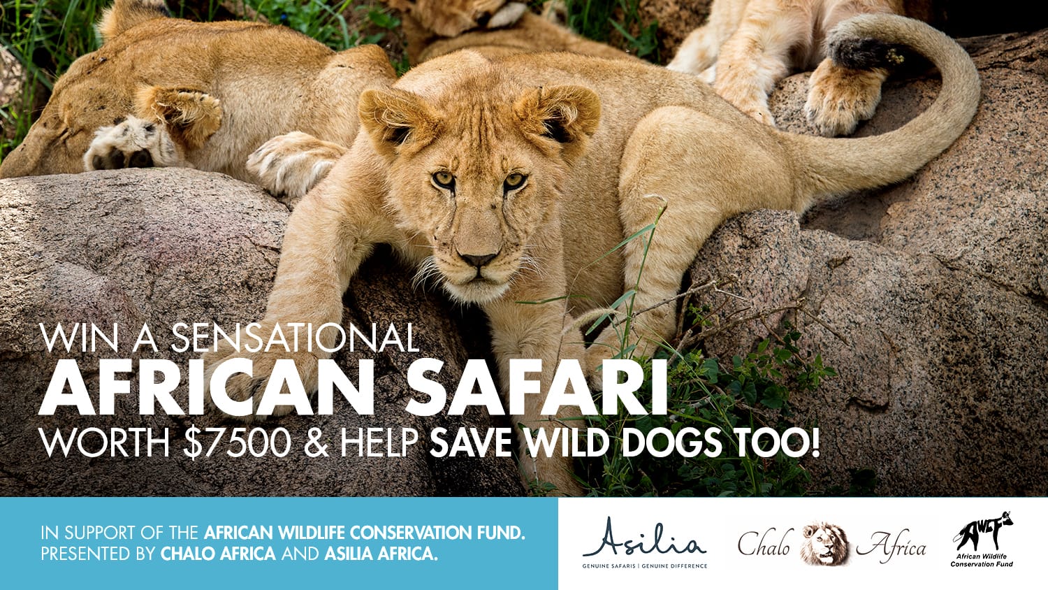 Chalo Africa Raffle