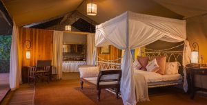 Alex Walker Serian Tent Interior