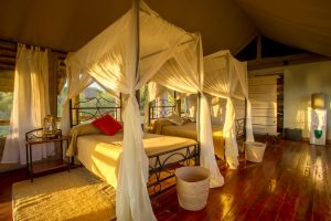 Burunge Tented Lodge Rooms