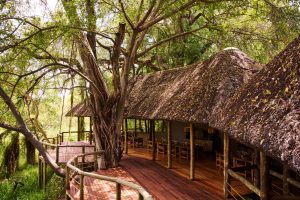 Camp Moremi Deck