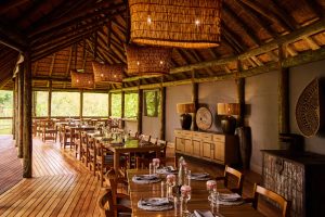 Camp Moremi Dining