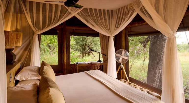 Camp Moremi Double Room