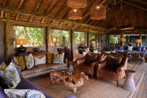 Camp Moremi Lounge