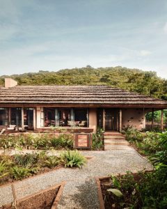 Gorilla Forest Lodge Accommodation