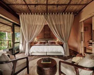 Gorilla Forest Lodge Rooms