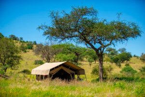 Kati Kati Tented Camp Tent View